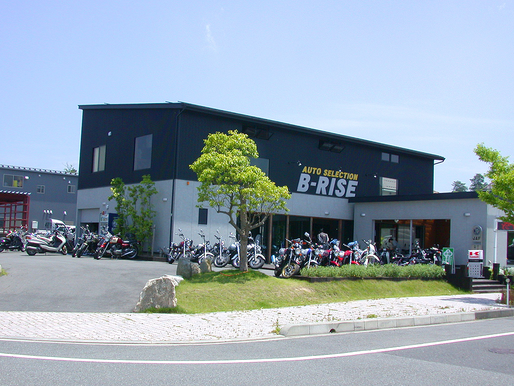 B-RISE�i�r�[���C�Y�j