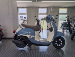 �z���_&nbsp;�W�����m 