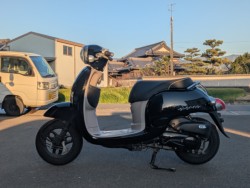 �z���_&nbsp;�W�����m 