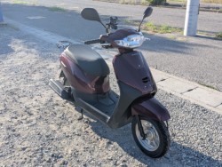 �z���_&nbsp;�^�N�g 