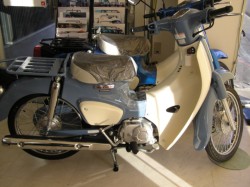 �z���_&nbsp;�X�[�p�[�J�u50 