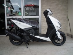 ���}�n&nbsp;�V�O�i�X�O���t�@�X 