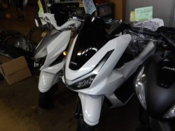 �z���_&nbsp;PCX 