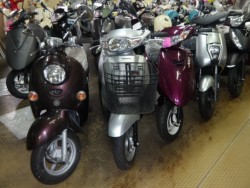 �z���_&nbsp;�^�N�g�E�x�[�V�b�N 