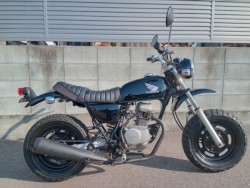 �z���_&nbsp;�G�C�v50 