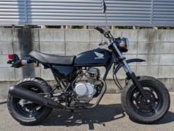 �z���_&nbsp;�G�C�v50 