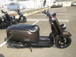 ���}�n&nbsp;VOX 