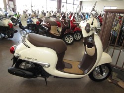 �z���_&nbsp;�W�����m 