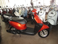 �z���_&nbsp;�^�N�g�E�x�[�V�b�N 