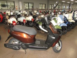 �z���_&nbsp;�^�N�g�E�x�[�V�b�N 