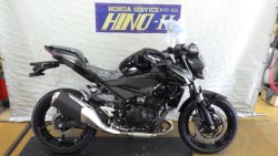 �J���T�L&nbsp;Z250 