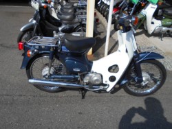 �z���_&nbsp;�X�[�p�[�J�u50 