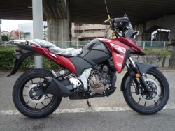 XYL VXg[250SX 
