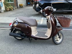 �z���_&nbsp;�W�����m 