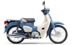 �z���_&nbsp;�X�[�p�[�J�uC50 