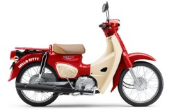 �z���_&nbsp;�X�[�p�[�J�uC50 