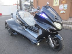 ���}�n&nbsp;�}�W�F�X�e�B250C 