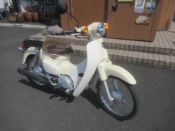 �z���_&nbsp;�X�[�p�[�J�u50 