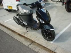 PGO�EMyBuBu125