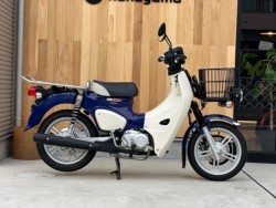 �z���_&nbsp;�X�[�p�[�J�u110�v�� 