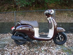 �z���_&nbsp;�W�����m 