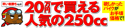 20���~�Ŕ�����l�C��250cc