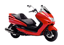 �}�W�F�X�e�B��T���I