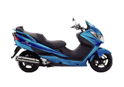 �X�J�C�E�F�C�u��T���I