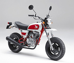 �G�C�v��T���I