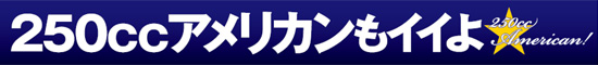 250cc�A�����J�����C�C��