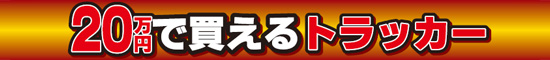 20~ŔgbJ[