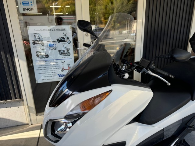 �z���_�t�H���c�@Si�i���Q�������l�s�j�摜4