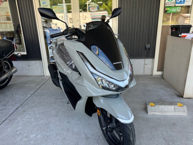 �z���_PCX�i���Q�������l�s�j�摜3
