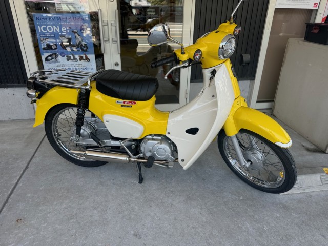 �z���_�X�[�p�[�J�u110�i���Q�������l�s�j�摜1