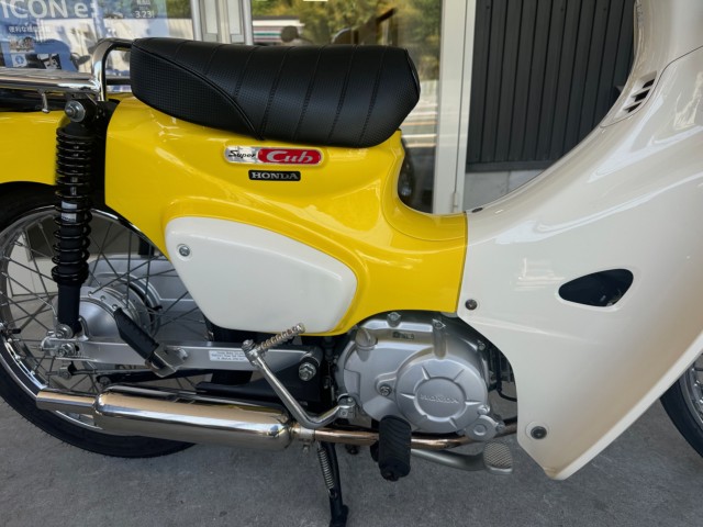 �z���_�X�[�p�[�J�u110�i���Q�������l�s�j�摜8