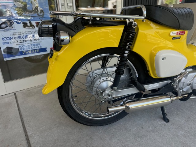 �z���_�X�[�p�[�J�u110�i���Q�������l�s�j�摜6