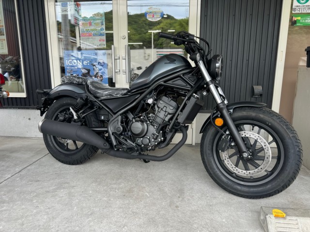 �z���_���u��250�i���Q�������l�s�j�摜2
