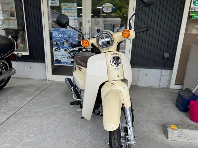 �z���_Super Cub 110 Lite�i���Q�������l�s�j�摜3