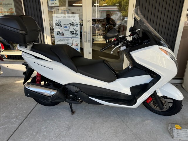 �z���_�t�H���c�@Si�i���Q�������l�s�j�摜2