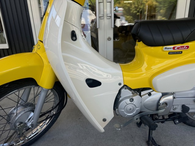 �z���_�X�[�p�[�J�u110�i���Q�������l�s�j�摜4