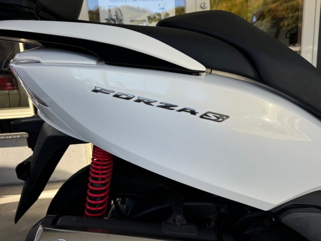 �z���_�t�H���c�@Si�i���Q�������l�s�j�摜20