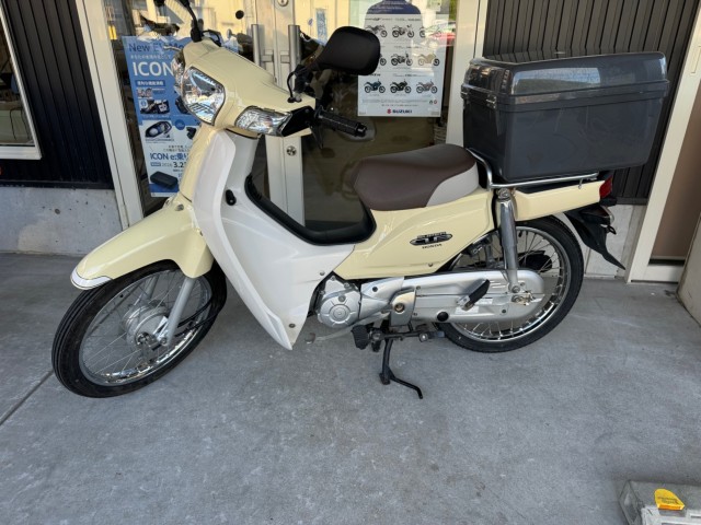 �z���_�X�[�p�[�J�u110�i���Q�������l�s�j�摜2