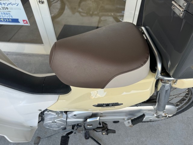 �z���_�X�[�p�[�J�u110�i���Q�������l�s�j�摜15