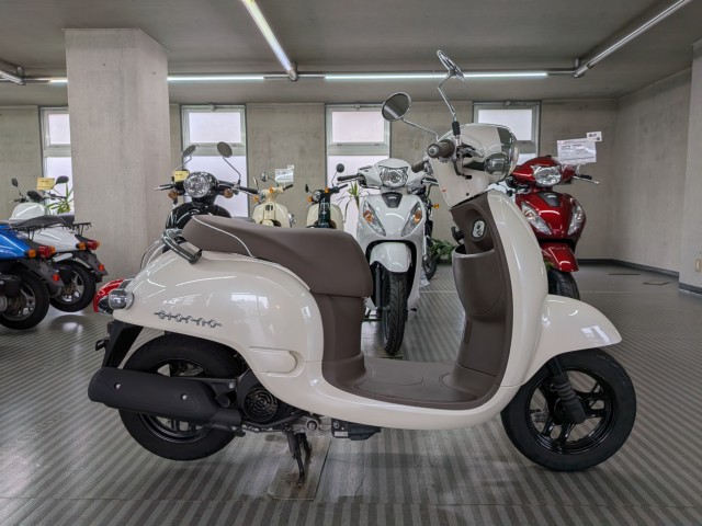 �z���_�W�����m�i���Q�����R�s�j�摜1