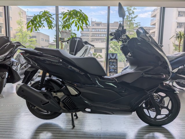 �z���_PCX�i���Q�����R�s�j�摜1