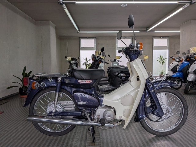 �z���_�X�[�p�[�J�u50�i���Q�����R�s�j�摜1