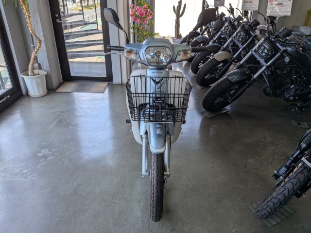 �z���_�X�[�p�[�J�u110�i���Q�����R�s�j�摜2