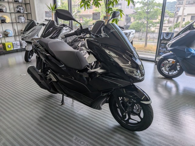 �z���_PCX�i���Q�����R�s�j�摜2