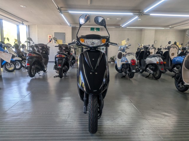 �z���_�f�B�I�i���Q�����R�s�j�摜2