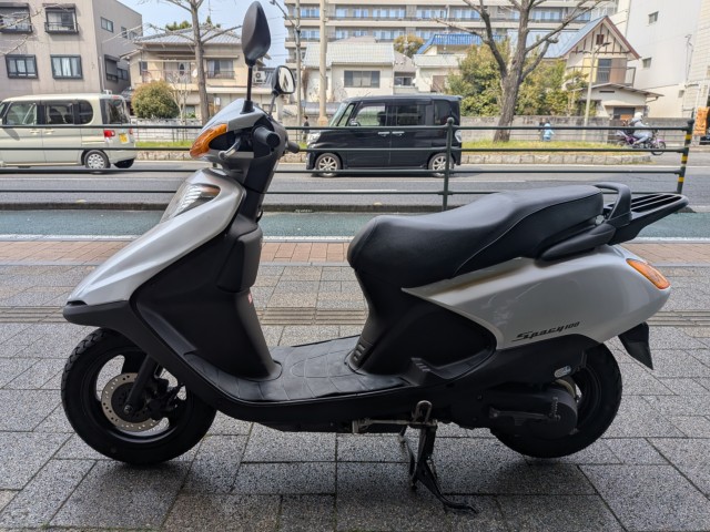 �z���_�X�y�C�V�[100�i���Q�����R�s�j�摜3